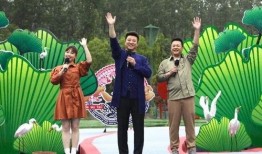 锦江酒店爆料视频最新,揭秘酒店行业潜规则与真实服务状况