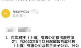 阿里最新爆料裁员员工,裁员风波下的员工生存现状揭秘