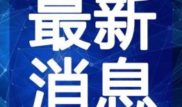 菠萝吹雪爆料视频大全最新,揭秘娱乐圈幕后真相