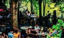成都公园舆论爆料案件最新,真相与争议交织的公共事件