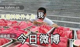 最新吃瓜爆料合集视频,揭秘娱乐圈幕后真相