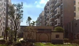 万象土地出售价最新爆料,价格波动背后的市场动态”